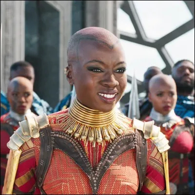 Quel est le nom du garde du corps de Black Panther ?