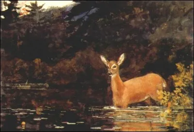 Qui a peint "Solitude" ?