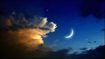 Le chat dort-il plus le jour ou la nuit ?