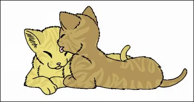 Quel genre de chat es-tu ?