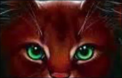 Quelle est ta couleur préférée ?