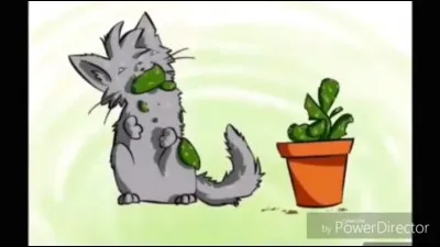 Que préférerais-tu être en ce moment ?