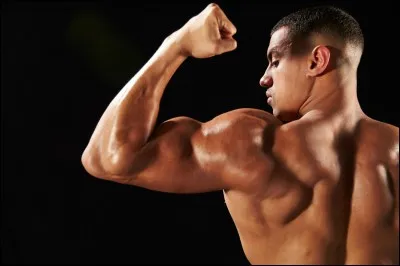 Quelle partie de la science étudie les muscles ?