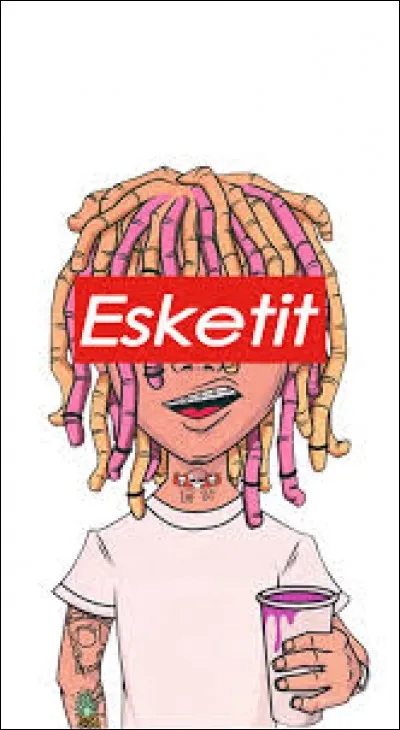 Qui a a plaidé coupable pour détournement de mineur dans le cadre d'une performance sexuelle ?