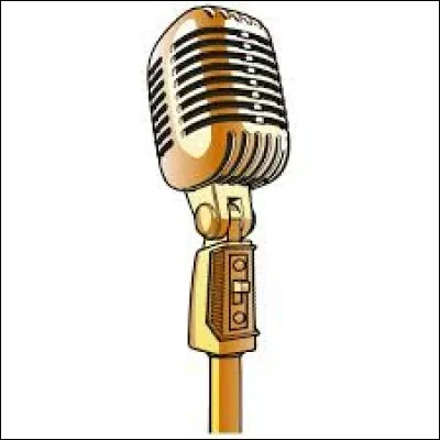 Quel type de voix te plaît le plus ?