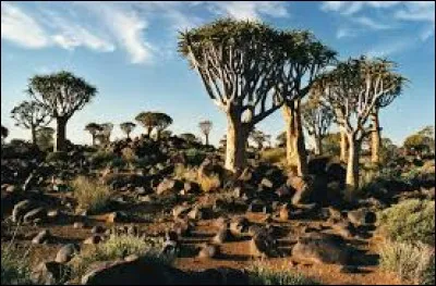 En quelle année fut proclamée l'indépendance du pays ?