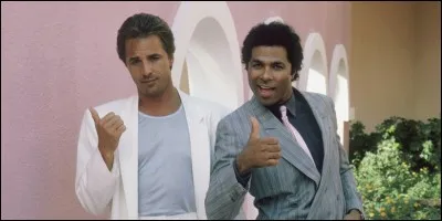 Dans quelle série policière Don Johnson a-t-il joué ?