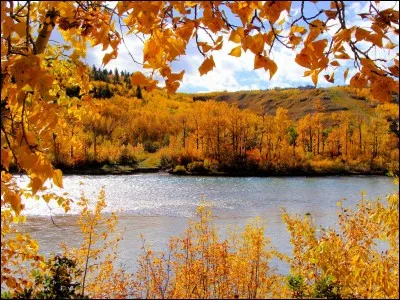 Quel est mon signe astrologique si je suis né le 6 octobre ?