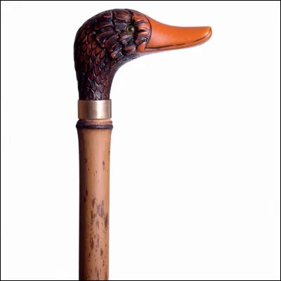 Il marche avec une ____ !