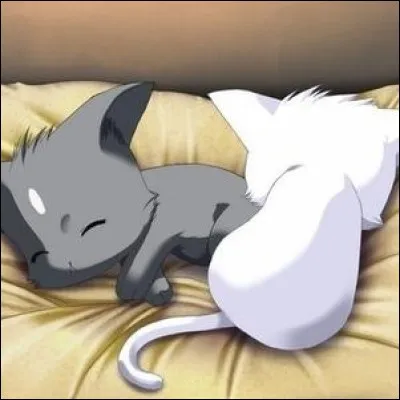 Qu'est-ce qui différencie Nuage de Jais de Plume de Jais ?