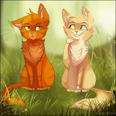 Pourquoi Museau Cendré a-t-elle aimé Étoile de Feu ?