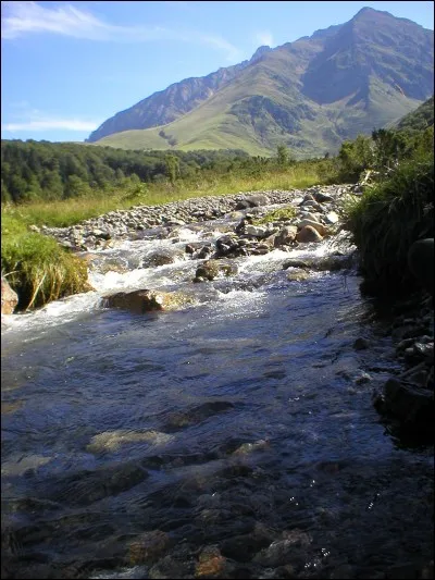 Quel est l'habitat du Clan des Étoiles ?