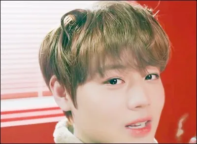 Dans le MV « I Promise You », Ji-hoon est déguisé en...