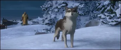 Quels animaux peut-on voir dans le roman de Jack London "Croc-Blanc" ?