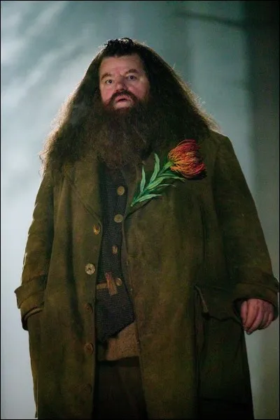 Hagrid est plus jeune que Voldemort :