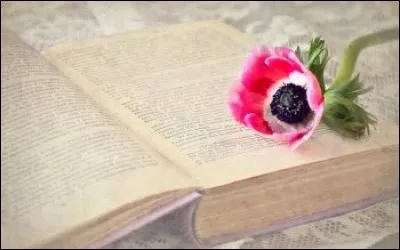 Lequel de ces hommes a écrit "La Tempête" ?