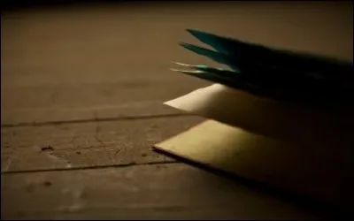 Quel homme est l'auteur de "Le Colonel Chabert" ?