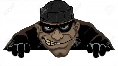 Dans le titre de son roman, comment qualifie-t-il le voleur ?