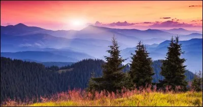 Qui a écrit le roman "Le soleil se lève aussi" ?