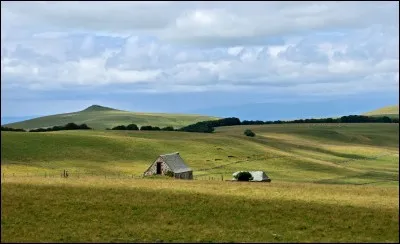Quel plateau du sud du Massif central culmine à 1 469 mètres d'altitude au signal de Mailhebiau ?