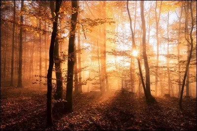 Comment dit-on "octobre" en anglais ?