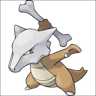 Quel est ce Pokémon ?