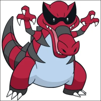 Quel est ce Pokémon ?