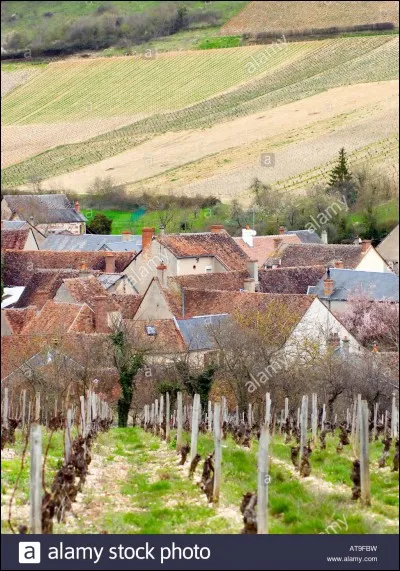 Au pied de Sancerre, entour&eacute; de vignes, le village de Chavignol, r&eacute;put&eacute; pour son...