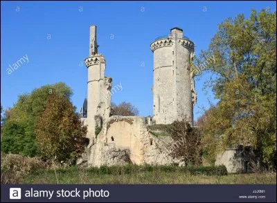 O&ugrave; peut-on voir le donjon du ch&acirc;teau de Jean du Berry ?