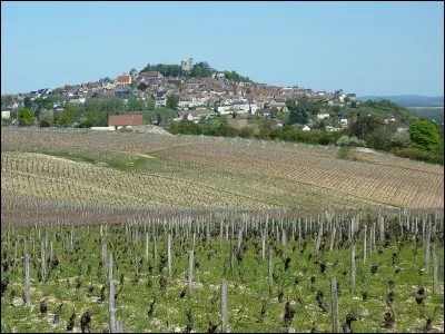 Un terroir de haut rang, un village, un vignoble, un fleuve. Du haut de sa colline, la petite ville veille, c'est...