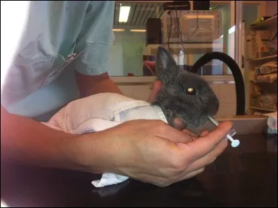 La cage peut s'av&eacute;rer utile pour :