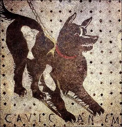 Cette mosaque, retrouve dans les cendres de Pompi, est l'quivalent romain de notre 'Attention, chien mchant ! '.