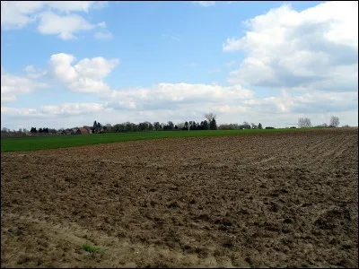 Quelle bataille des guerres Liège-Brabant ayant eu lieu le 13 octobre 1213 opposa le duché de Brabant à la principauté de Liège ?