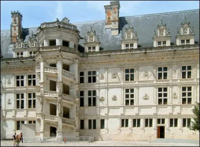 Dans la cour le remarquable escalier François Ier monte dans une cage...