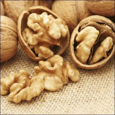 En quelle saison mange-t-on des noix ?