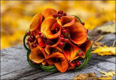 Ils sont venus, ils sont tous là, ils chantent Ave Maria pour elle. Quel est le titre de cette chanson ?