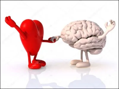 Qu'est-ce qui guide vos actions ?