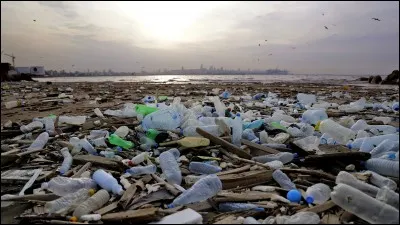 Es-tu pour ou contre la pollution ?