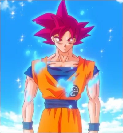 Dragon Ball ~ Quel est le nom du dieu de la destruction que Son Goku affronte lorsqu'il se transforme pour la première fois en Super Saiyan God ?
