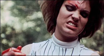 Dans quel film Krug et ses trois associés, redoutables assassins, séquestrent-ils et torturent-ils à mort deux jeunes filles fêtant leur anniversaire ?