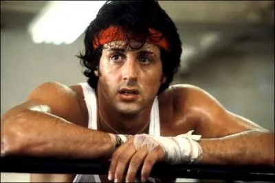 Dans quel Rocky voit-on cette image ?