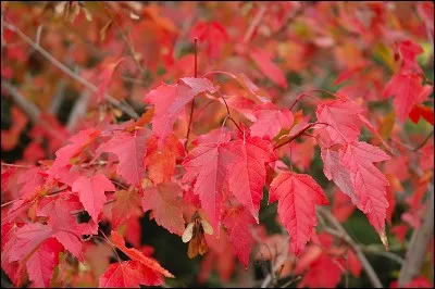 Quelle est son exposition ?