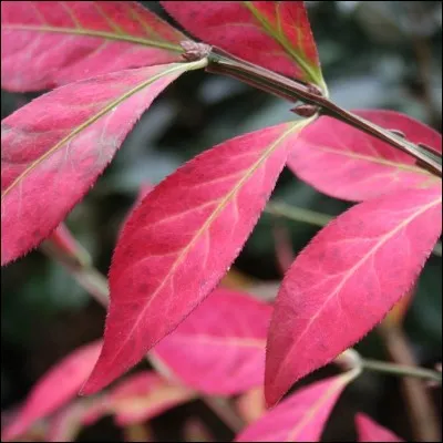 Quelle est son exposition ?