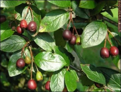 Quelle est son exposition ?