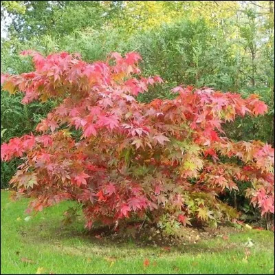 Quelle est son exposition ?