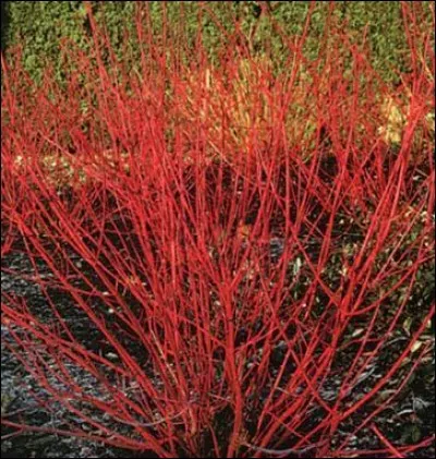 Quelle est son exposition ?