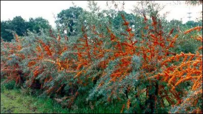 Quelle est son exposition ?