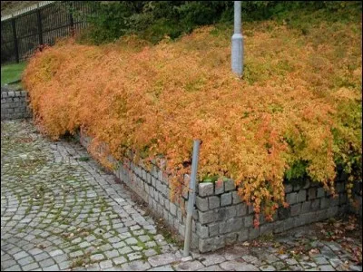 Quelle est son exposition ?