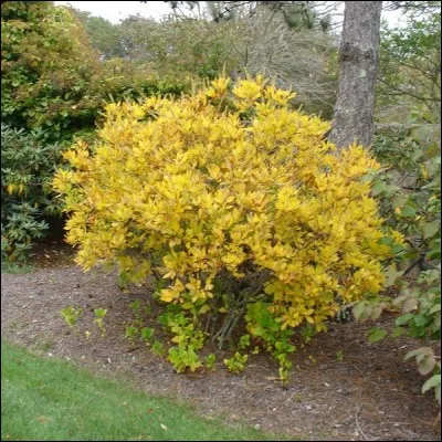 Quelle est son exposition ?