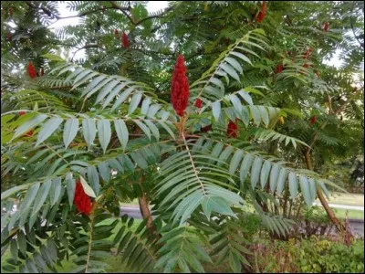 Quelle est son exposition ?